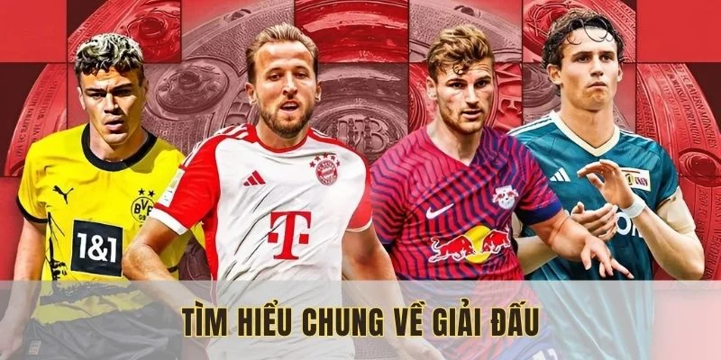 Khái quát về giải đấu Bundesliga