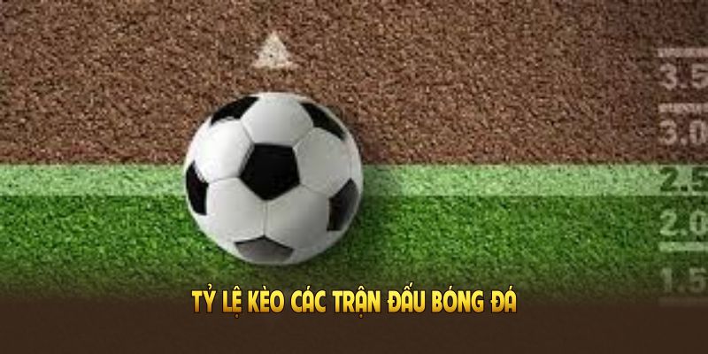 Tỷ lệ kèo các trận đấu bóng đá cập nhật tại kênh thể thao Xôi Lạc