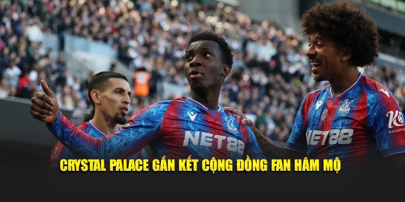Crystal Palace gắn kết cộng đồng fan hâm mộ