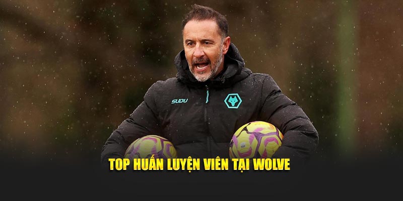 Top huấn luyện viên tại Wolve